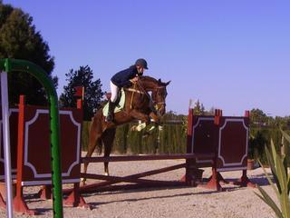 copiadepict2437ik4-1.jpg