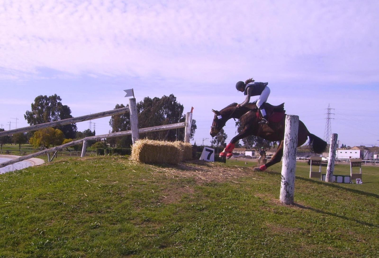 copiadepict2449li8-1.jpg
