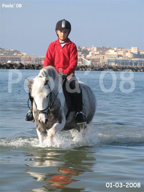 img7207gt9-1.jpg