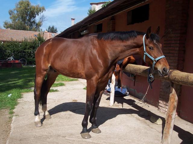 immagine083eq0-1.jpg