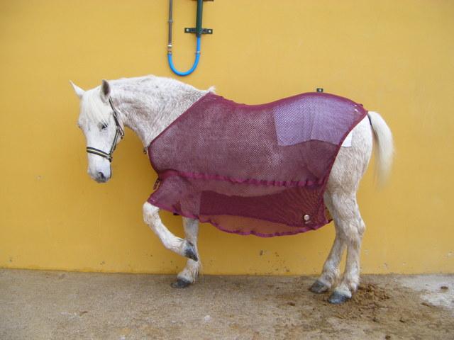 lunaalicante079yy9-1.jpg