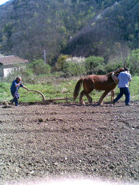03042008001ue2-1.jpg