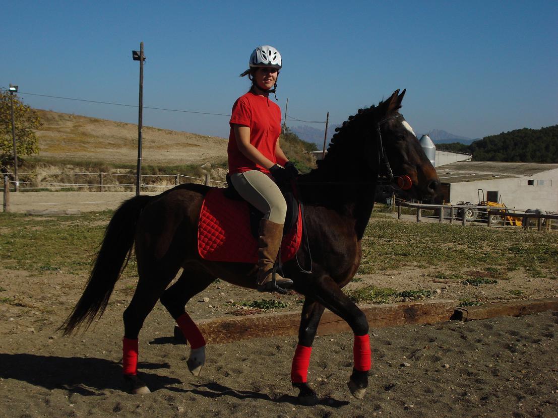 dsc02471dx7-1.jpg
