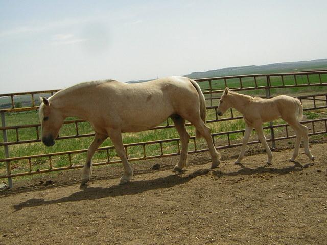 dscn6221om3-1.jpg