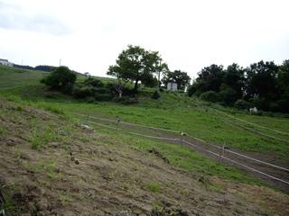 hipicaa077pz8-1.jpg