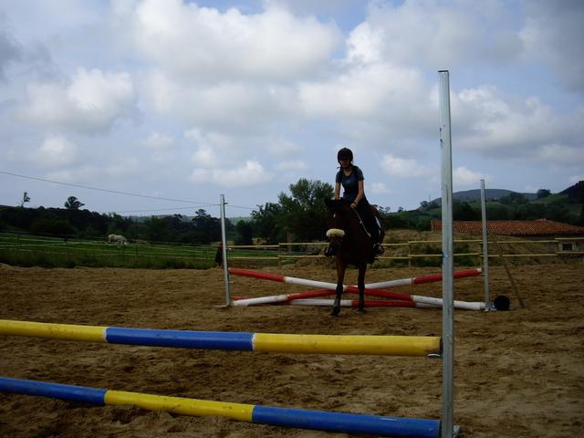 hipicaa145pp3-1.jpg