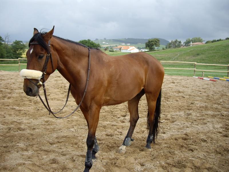 hipicaa153wr7-1.jpg