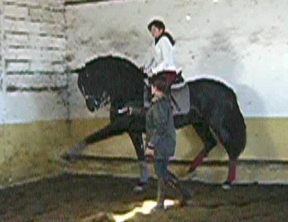 centenariopasoespaol002xl9-1.jpg