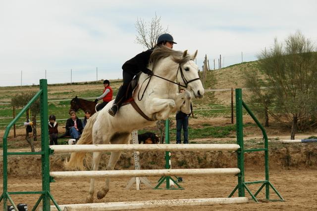 dsc01169qk6-1.jpg