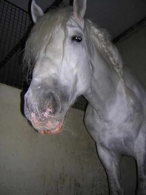 dscn6473pa6-1.jpg