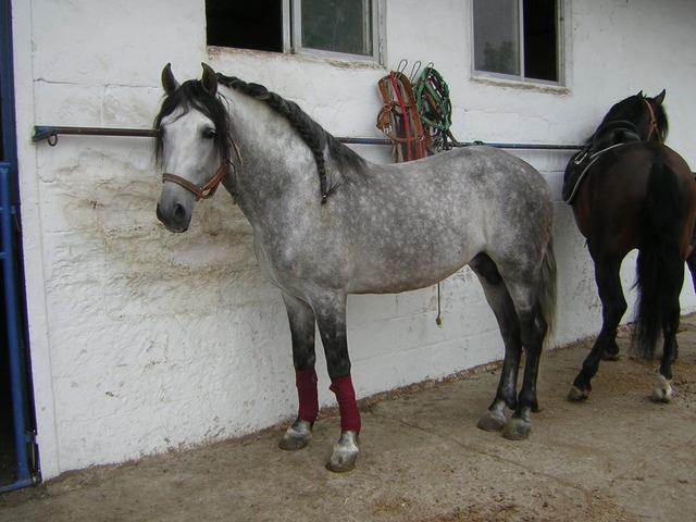 dscn6917pb2-1.jpg