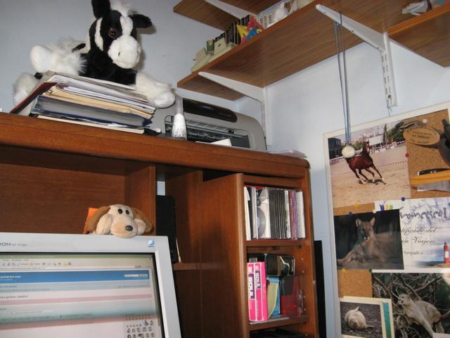 img0562px7-1.jpg