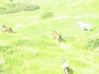 img0825wk8-1.jpg