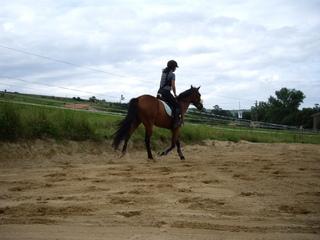 imgp0714tf7-1.jpg