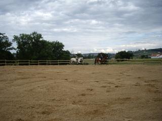 imgp0719wl7-1.jpg