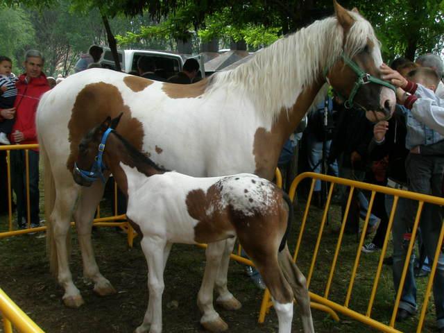 junio08112df3-1.jpg