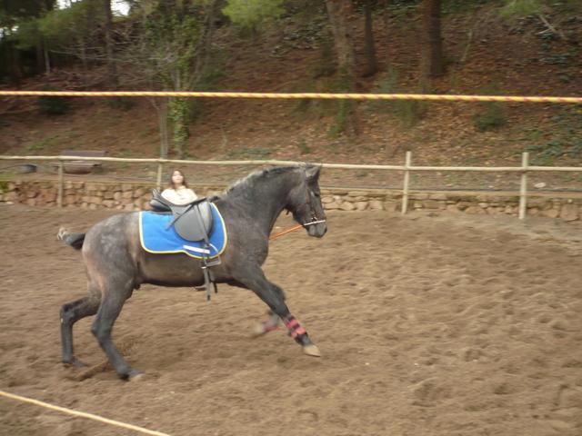 p1000355zj8-1.jpg