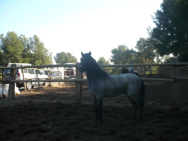p1020633cd6-1.jpg