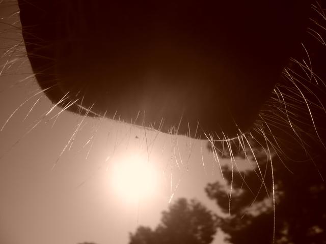 p1020793uc8-1.jpg