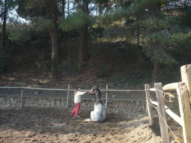 p1030437ty3-1.jpg