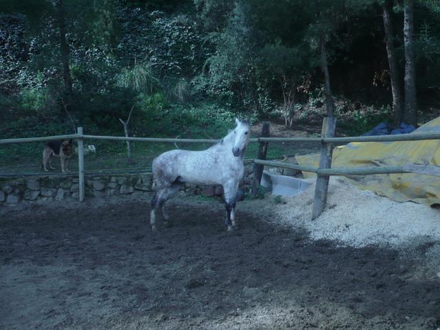 p1030579hh6-1.jpg