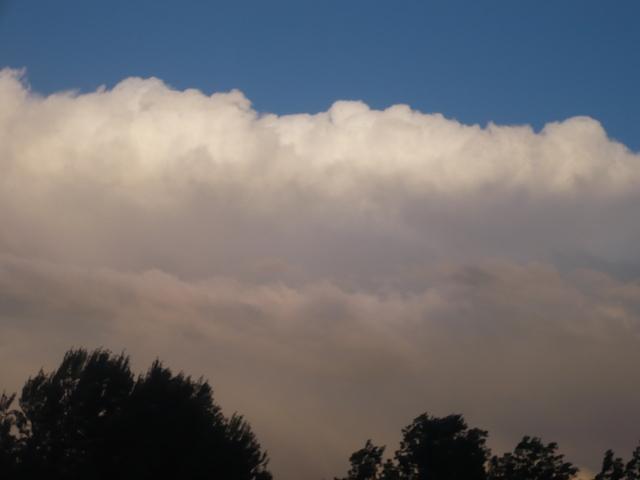 p1030717qs4-1.jpg