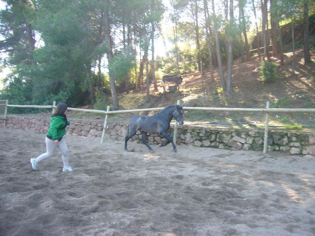p1060290eh5-1.jpg