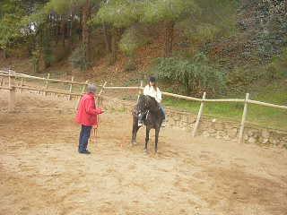 p1060452xx6-1.jpg