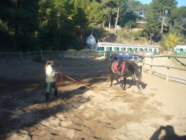 p1060598ma8-1.jpg