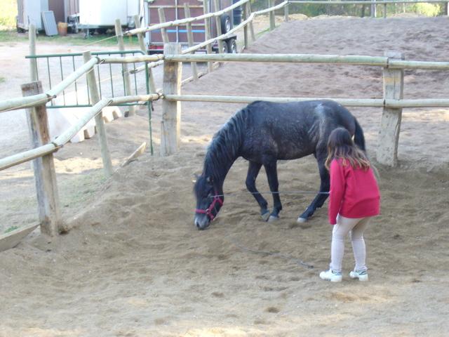 p1070853ch5-1.jpg