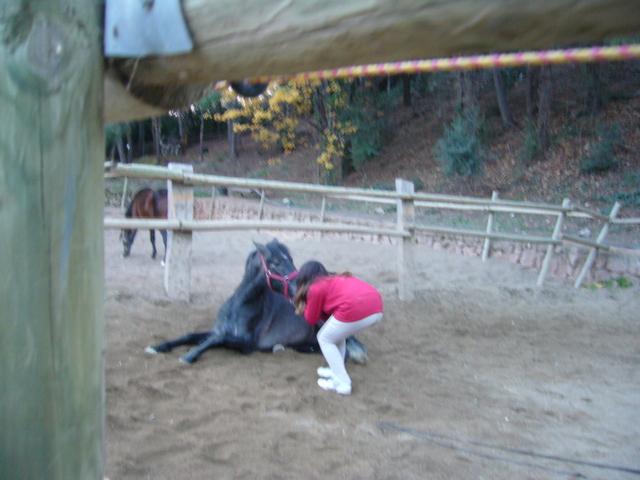 p1070980hq2-1.jpg