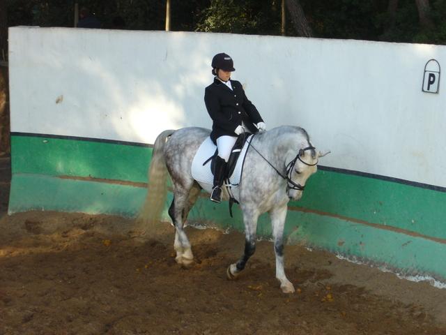 p1080092sm4-1.jpg