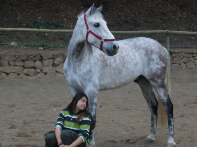 p1090115kj4-1.jpg