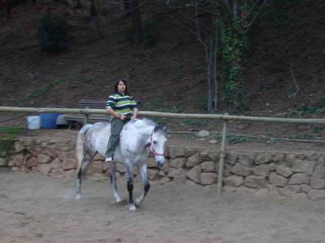 p1090141ss2-1.jpg