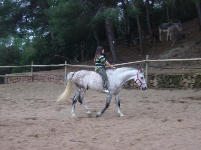 p1090144kg3-1.jpg