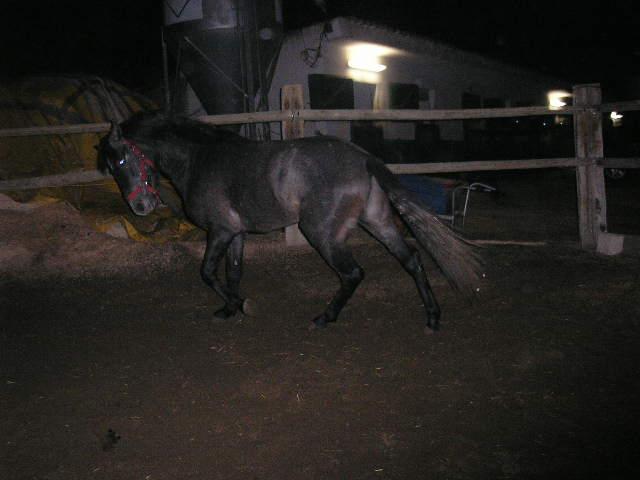 pb200001mn2-1.jpg