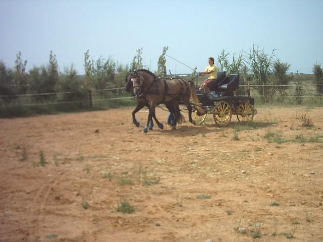 07112002maria1bo0-1.jpg