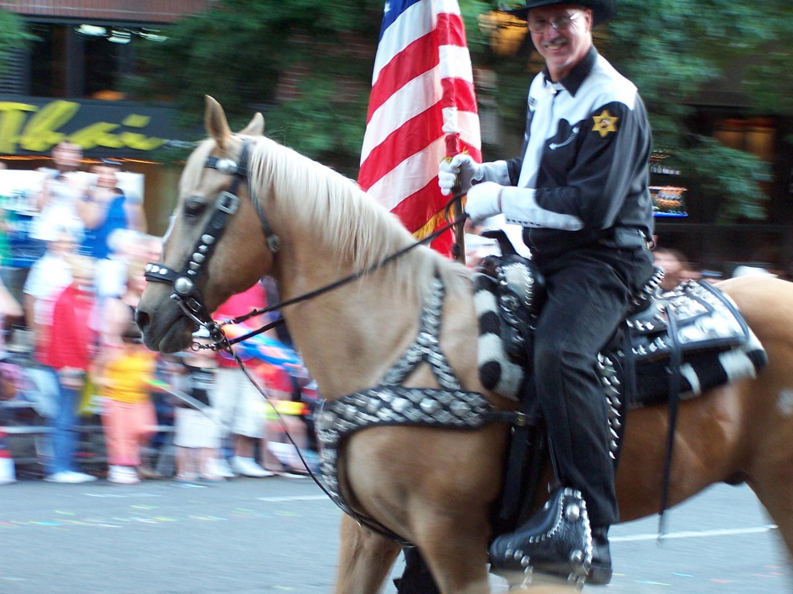 ParadeHorseSilverSaddle-1.jpg