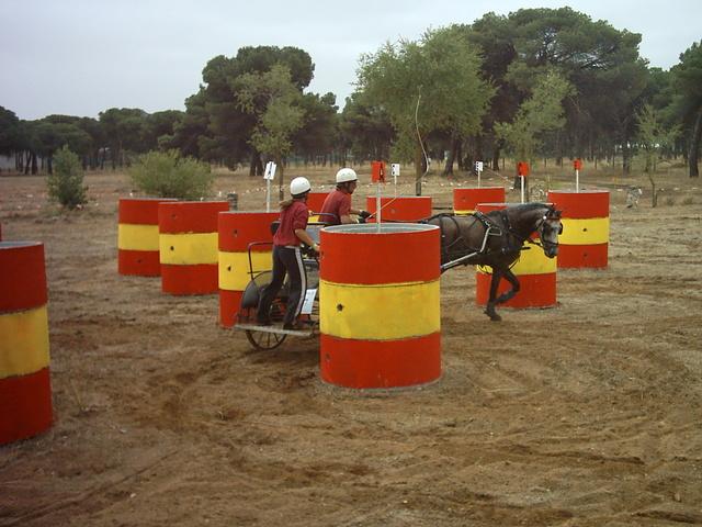 leoso01le4-1.jpg