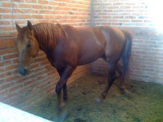 img0105hj9-1.jpg