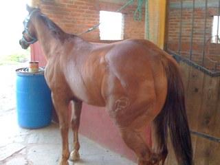 img0150dp2-1.jpg