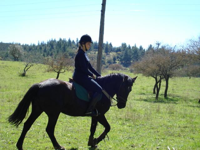 dsc00061at4-1.jpg