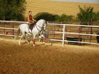 p7240011lt1-1.jpg