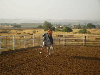 p7240014rg3-1.jpg