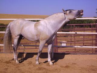pict4259bb6-1.jpg