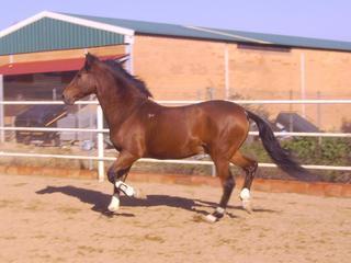 copiadepict1434se5-1.jpg