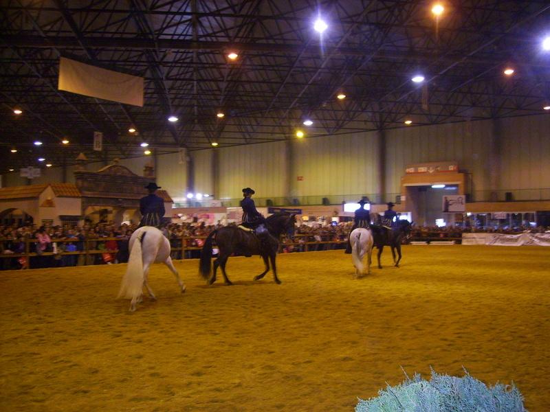 pict1287da5-1.jpg