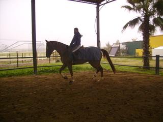 pict1386vx8-1.jpg