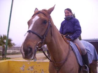 pict1400sy7-1.jpg