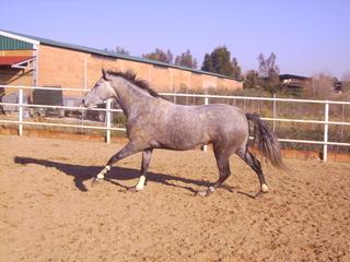 pict1461ux0-1.jpg